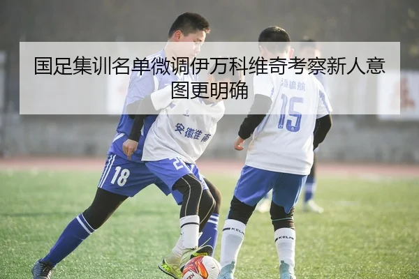 国足集训名单微调伊万科维奇考察新人意图更明确